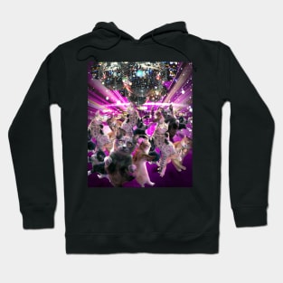 Disco Cats Dancing, Cat Dance, Funny Cute Hoodie